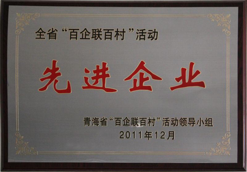 “百企聯(lián)百村活動(dòng)”先進(jìn)企業(yè)