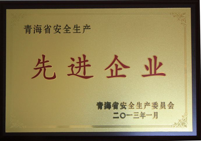 青海物產(chǎn)榮獲“2012年度安全生產(chǎn)先進(jìn)企業(yè)”榮譽(yù)稱號